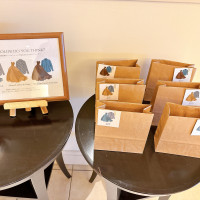 衣装当てゲーム