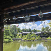 鯉が泳いで風情あります