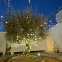夜は映えます。