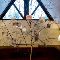 ファミリーツリー