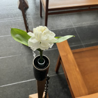 協会の会場装花は無料プランのものでも十分でした。