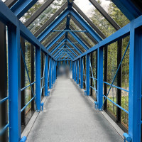 リゾート敷地内は開放的で自然が感じられました。