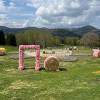 ファームエリア(牧草ロールの装飾は期間限定みたいです)