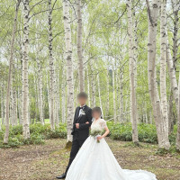 白樺エリアでのロケーションフォト