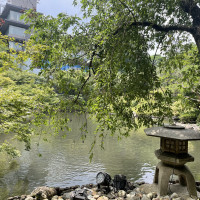 庭園