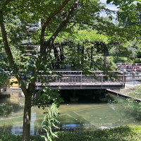 神前式の開始状況です。