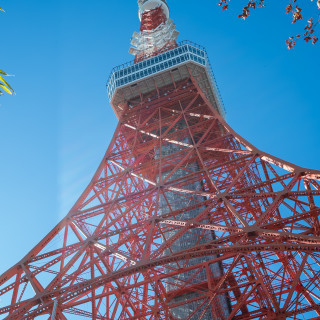 会場から見える景色