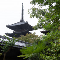 外から見える八坂の塔