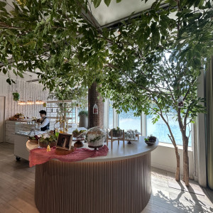ORCHID|762126さんのTHE CLASSICA BAY RESORT （ザ クラシカ ベイリゾート）の写真(2493916)