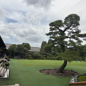 ガーデン|762153さんの明治神宮・明治記念館の写真(2493623)