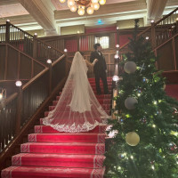 大階段
12月だったのでクリスマスツリーも飾られていました