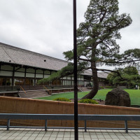 天然芝の管理されたガーデン。