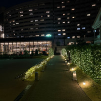 チャペルへと続くライトアップされた道がとても綺麗です。