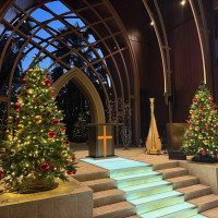 クリスタルの時期はツリーが飾られます。