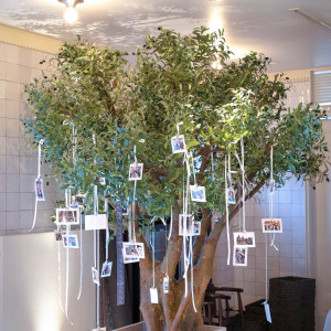 フォトツリー|762427さんのCUCINA Pagina（クッチーナ パージナ）の写真(2547703)