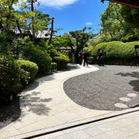緑が多く、庭園のような雰囲気です。