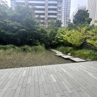 隣接するお庭