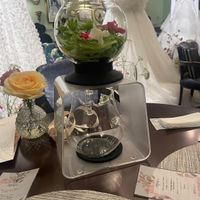 試食の料理