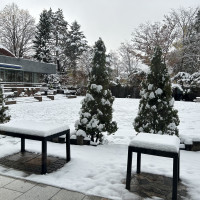 雪がない季節は緑が綺麗だそうです