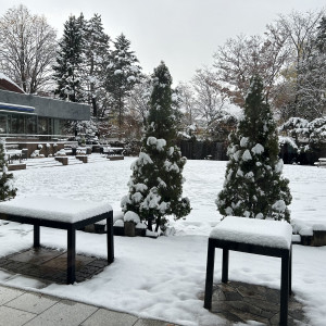 雪がない季節は緑が綺麗だそうです|762565さんの札幌パークホテルの写真(2503933)