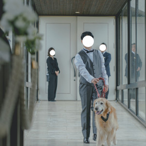 ペットと一緒に入場できました。|762794さんの中伊豆ワイナリー シャトーT.Sの写真(2497449)