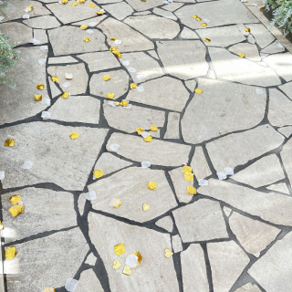 フラワーシャワー後