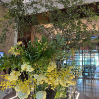 2週に一度変わるらしいロビーのお花