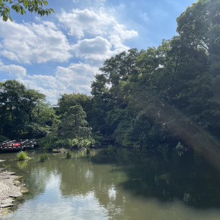 池の上に橋を参進で進む