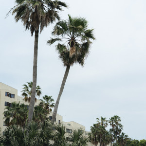 外観|763192さんのTHE LUIGANS Spa & Resort(ザ・ルイガンズ．スパ＆リゾート)の写真(2499000)