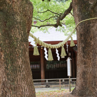 明治神宮