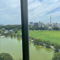 チャペルの窓から撮影した外観写真です