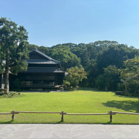 これをバックに写真を撮ることができます。
