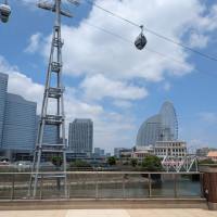 テラスからの景色です
