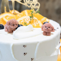 料理も予算内でこちらのイメージ、要望を叶えてくださった。