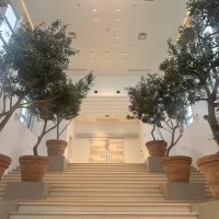 チャペルへ向かう大階段