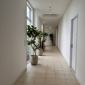 廊下|763653さんのOLIVE ARIA(オリーブ アリア)●BRASSグループの写真(2558898)