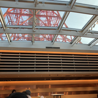 東京タワーを下から覗けます！
