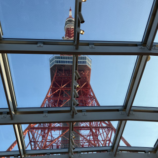 東京タワーをこの角度で見れます