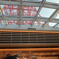 東京タワーを下から覗けます！