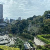 庭を一望できます