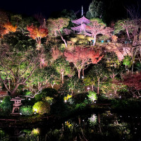 庭のライトアップ