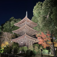 庭にある三重塔