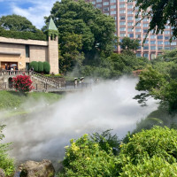 庭の雲海