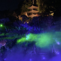 庭のライトアップ