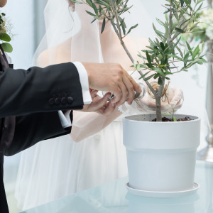 オリーブの木へ水合わせセレモニー|763765さんのティアラ ザ ガーデンハウス(Tiara THE GARDEN HOUSE)の写真(2508871)