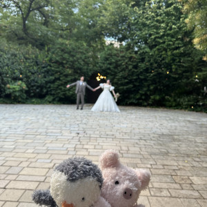 開放的なガーデン|763777さんのラ・クラリエールの写真(2502569)