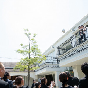 おかし投げ|763796さんのMiel Cloche(ミエルクローチェ)●BRASSグループの写真(2543034)