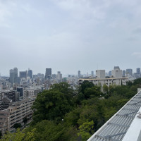 庭からの景色