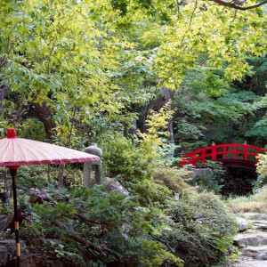 庭園|764108さんのエルムガーデンの写真(2564356)