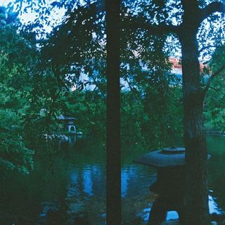八芳園のクチコミ 庭・ガーデンの写真(2枚目)